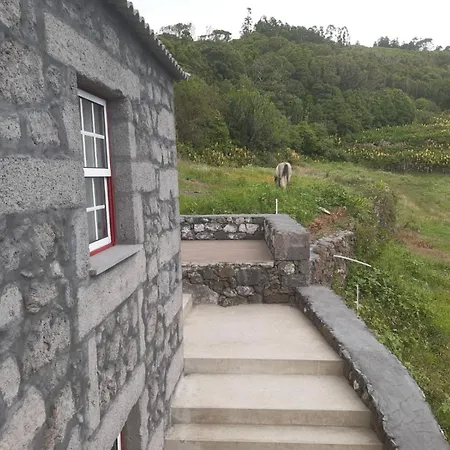 Liiiving In Acores - Casa De *