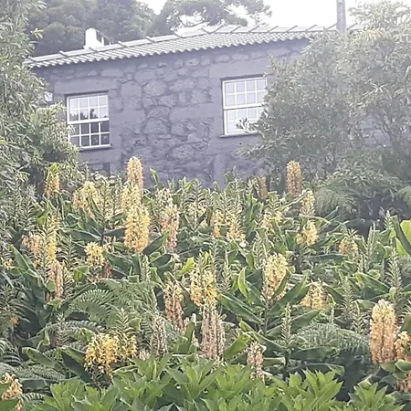Liiiving In Acores - Casa De Βίλα Foros
