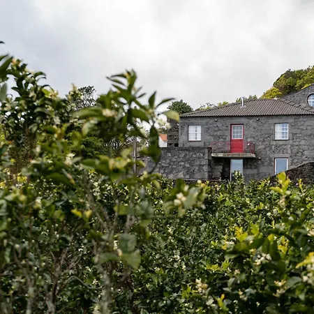 Liiiving In Acores - Casa De Villa